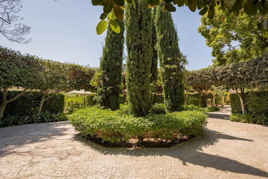 Casa Tania * Marbella